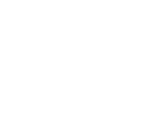 mary tour logo blanco